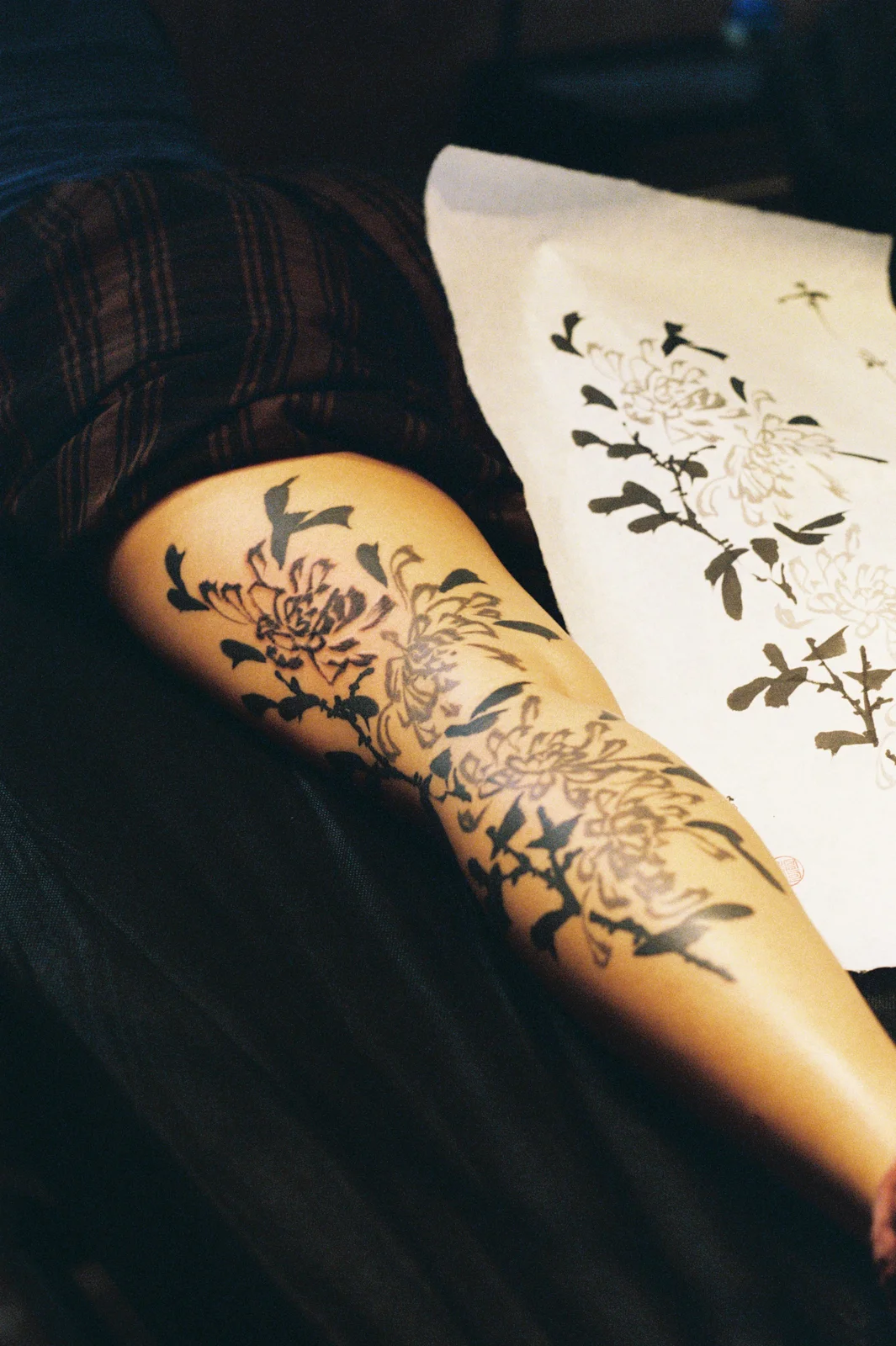 Chrysanthemum — leg 2 — 2025, Image 8