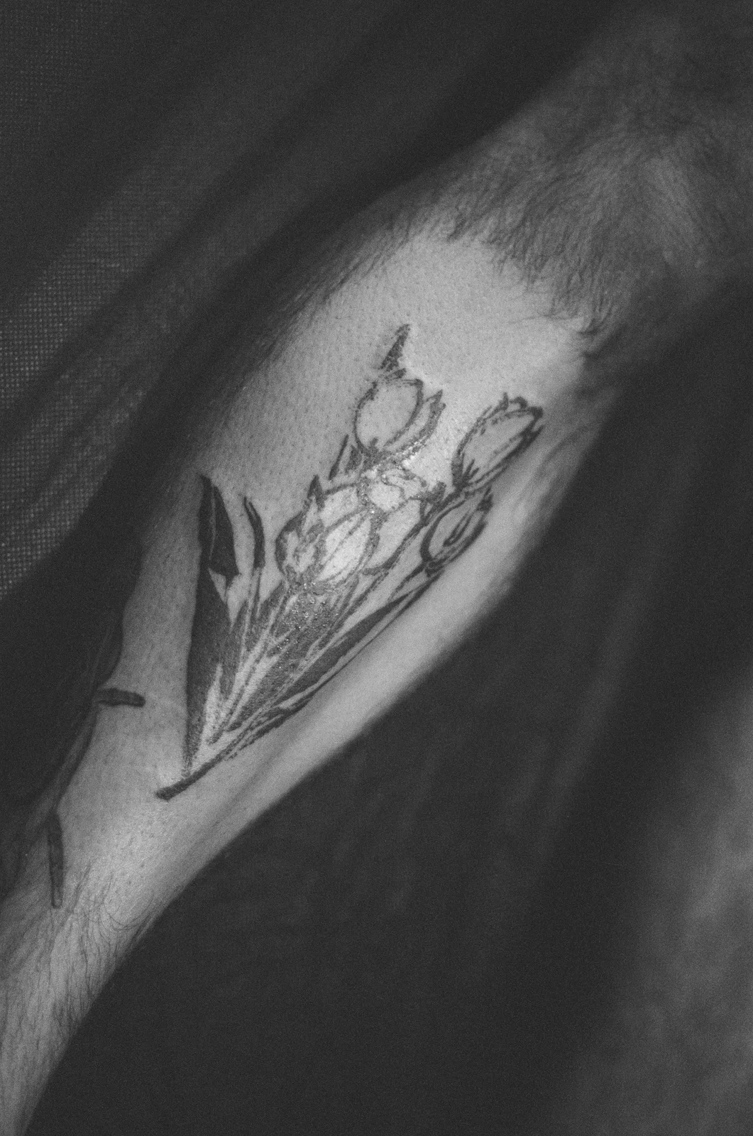 Tulip — forearm — Seongjin Kim, 2025