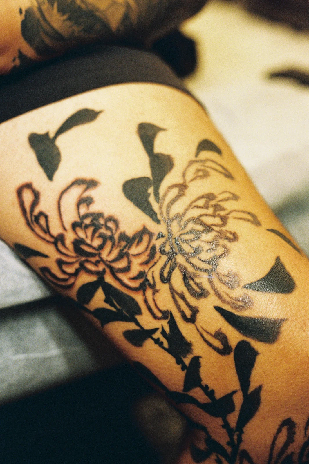 Chrysanthemum — leg — 2025, Image 11