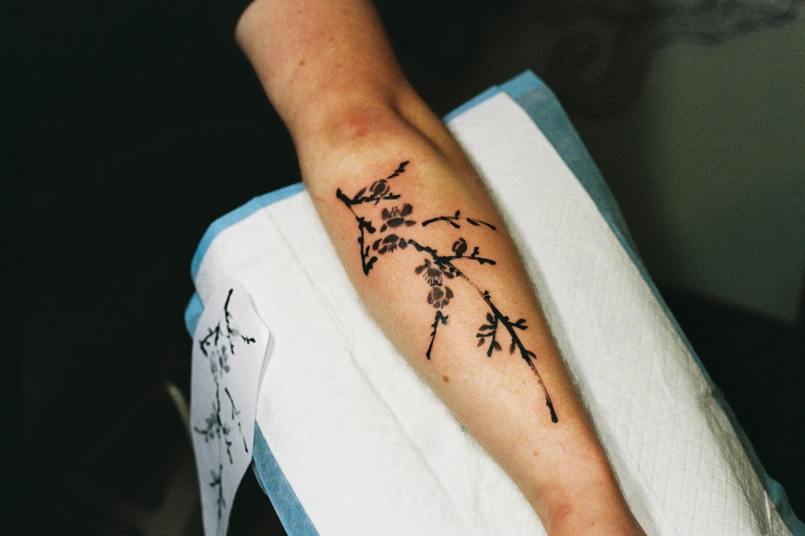 Plum blossom — forearm — 2026, Image 3