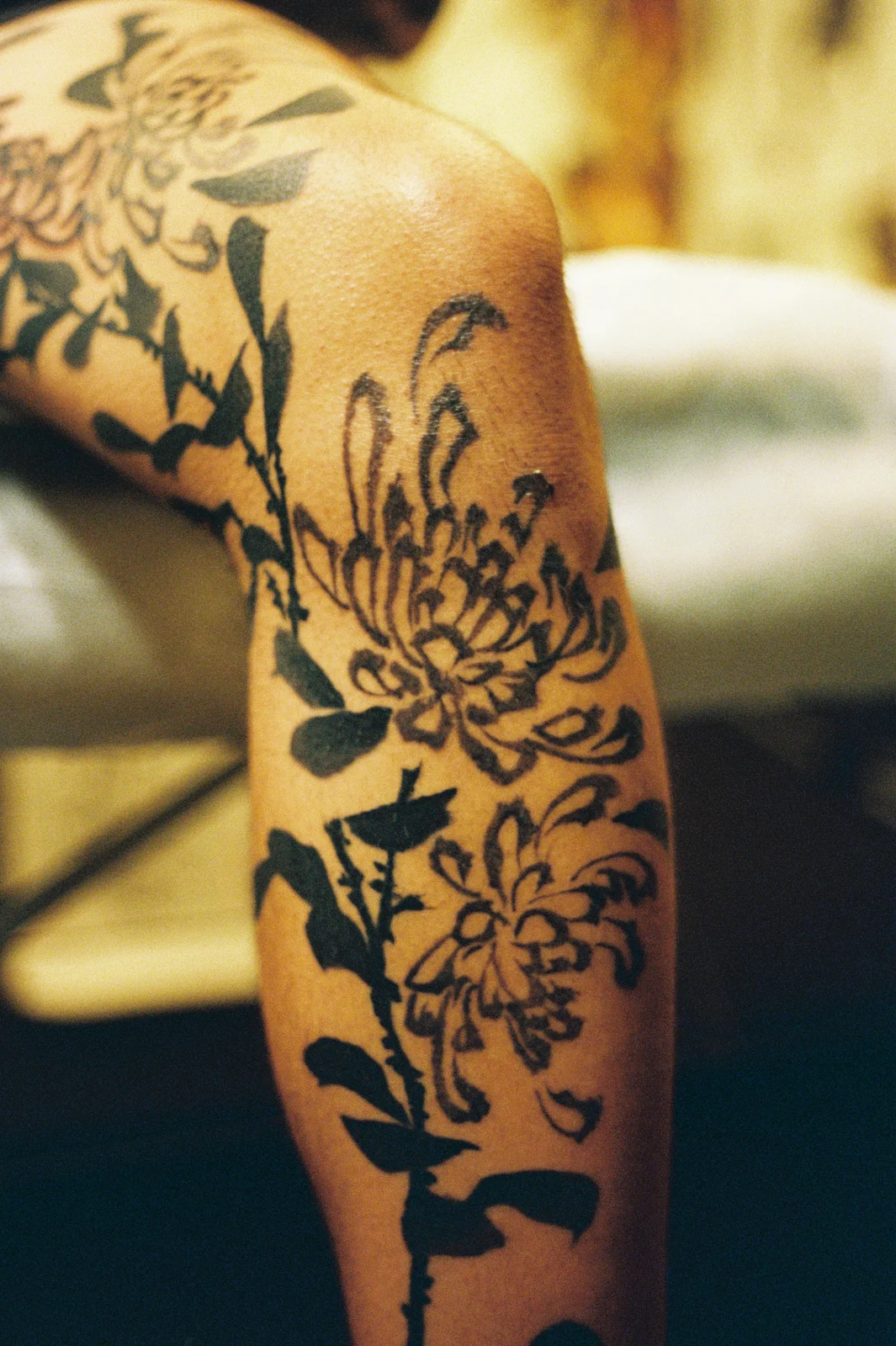 Chrysanthemum — leg — 2025, Image 14