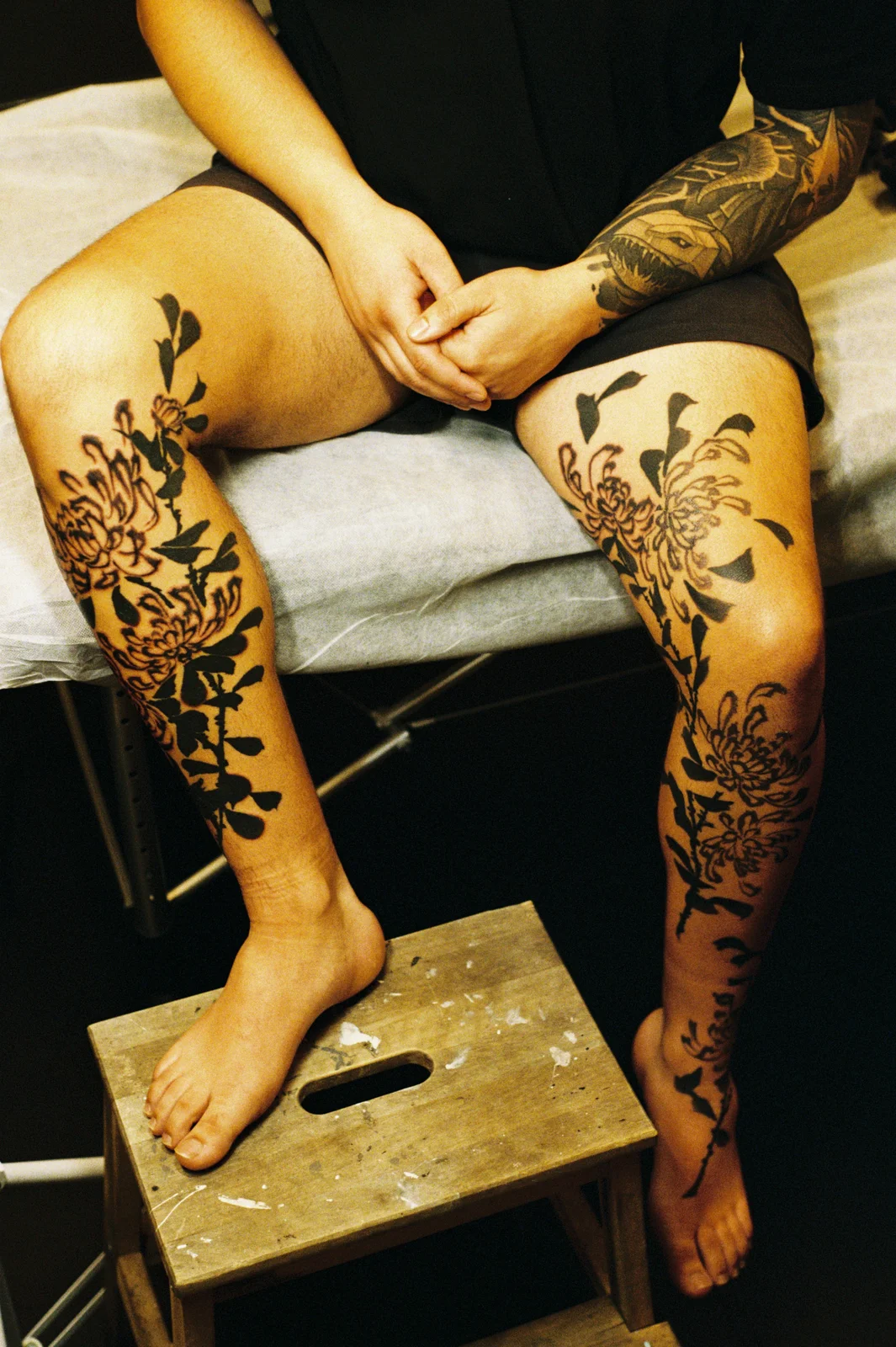 Chrysanthemum — leg — 2025, Image 24