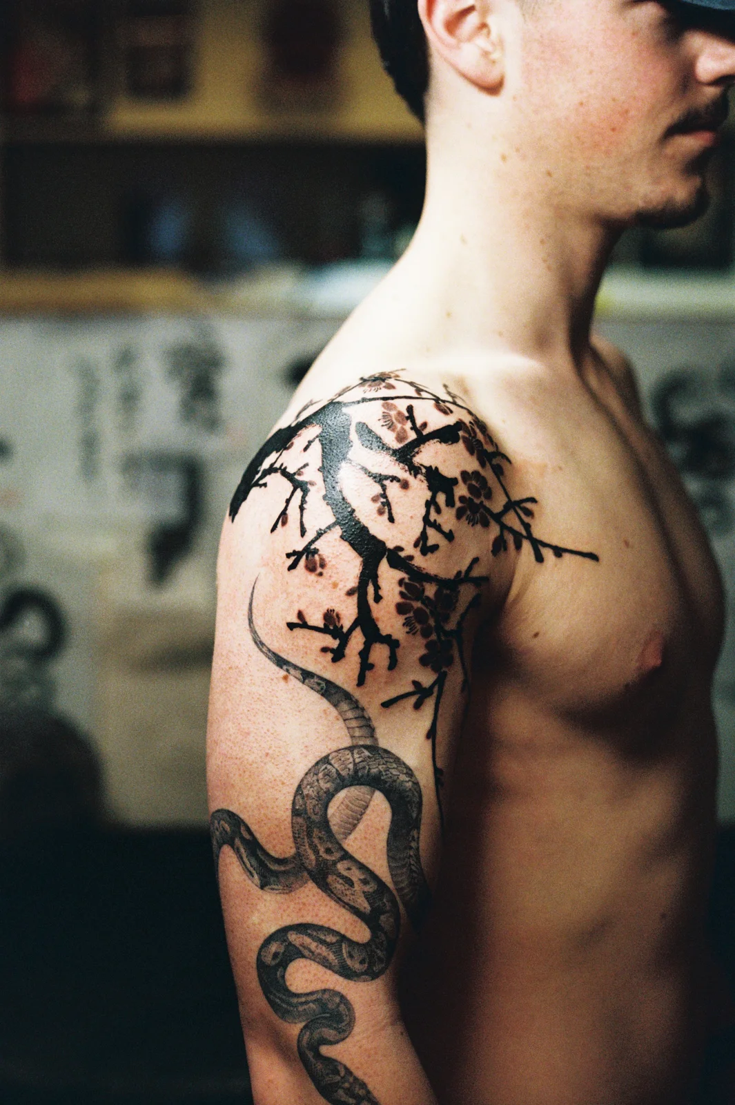Plum blossom — shoulder — 2026, Image 8