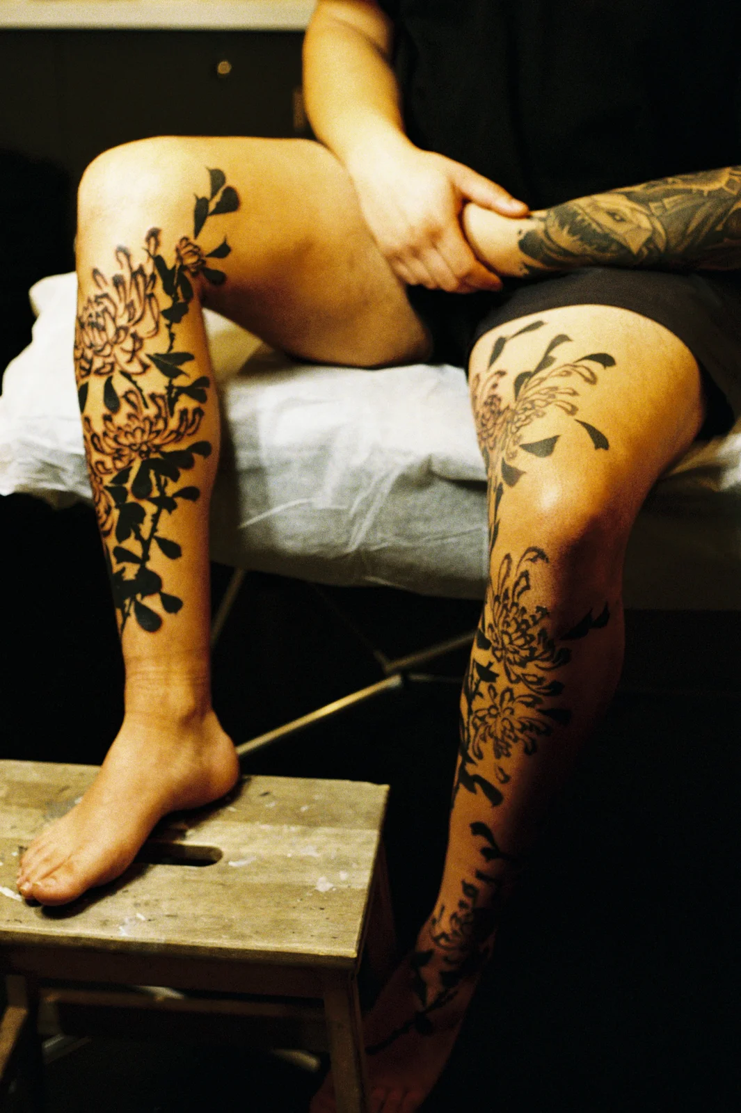 Chrysanthemum — leg — 2025, Image 55