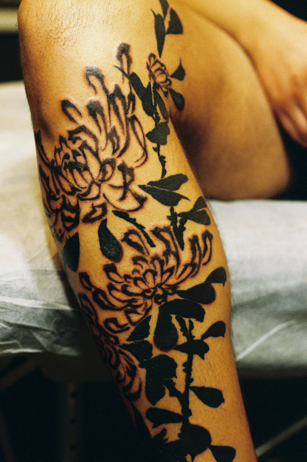 Chrysanthemum — leg — 2025, Image 40