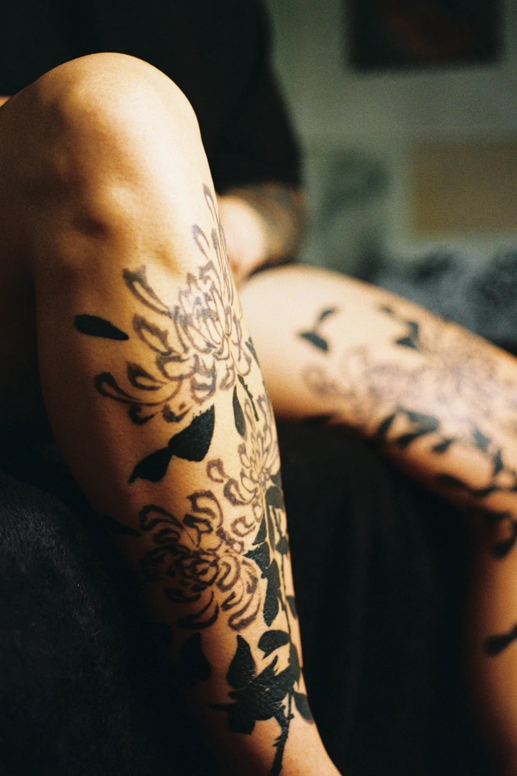 Chrysanthemum — leg — 2025, Image 66
