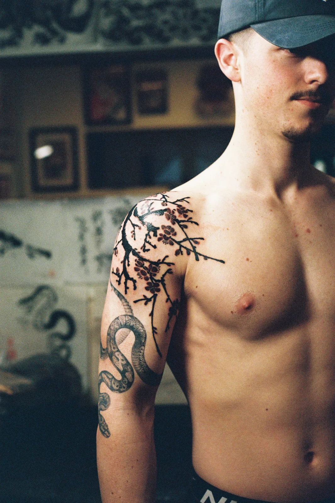 Plum blossom — shoulder — 2026, Image 4
