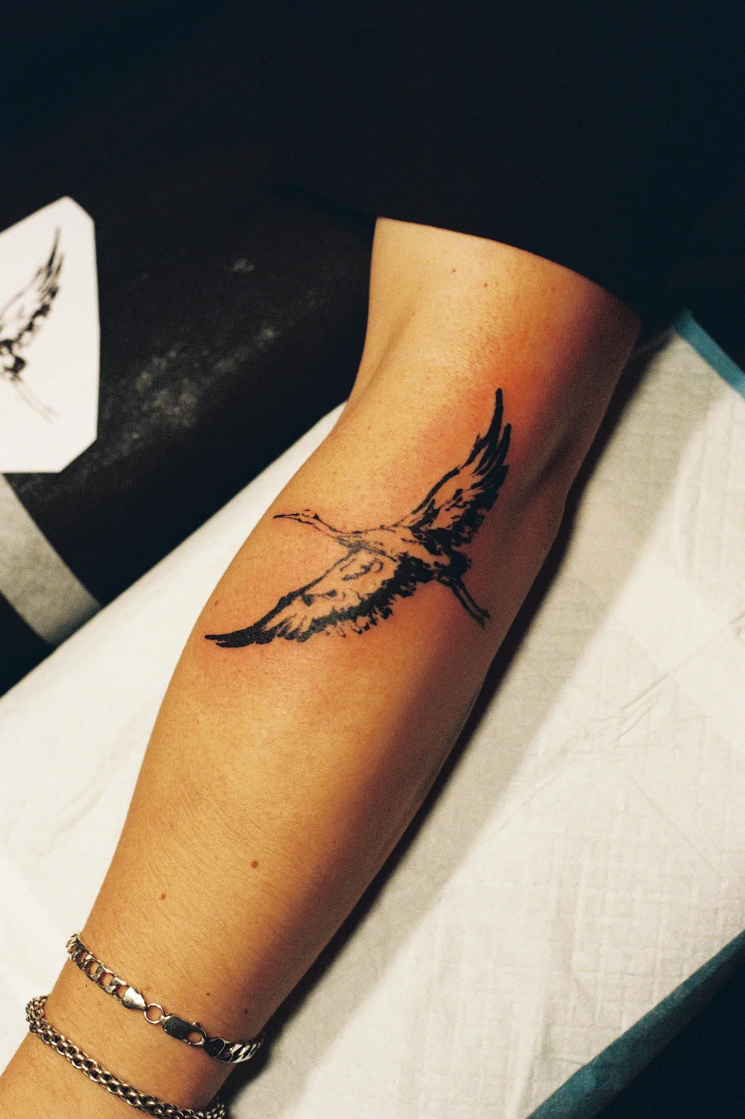 Crane — forearm — Seongjin Kim, 2026