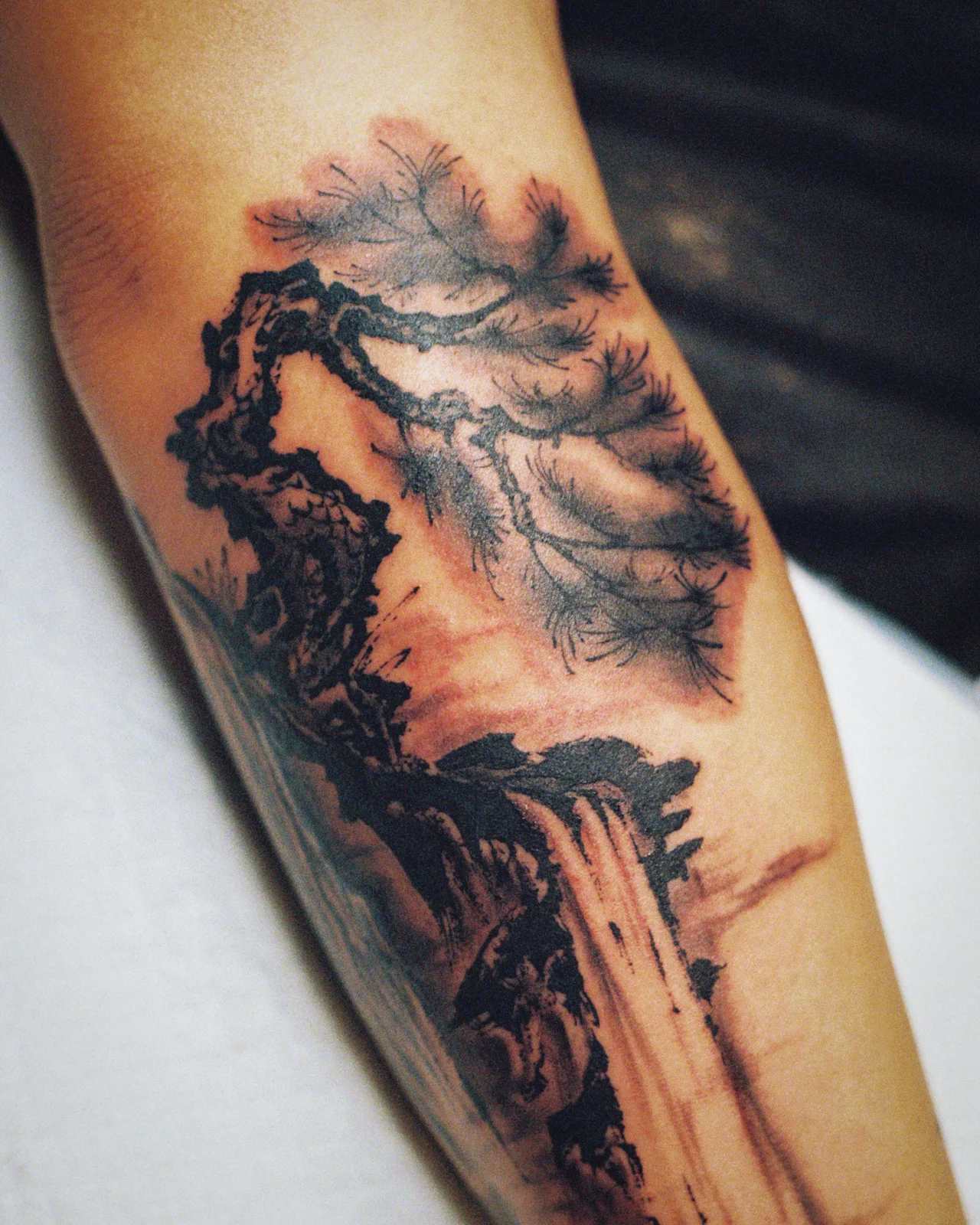 Landscape — forearm — 2026, Image 6