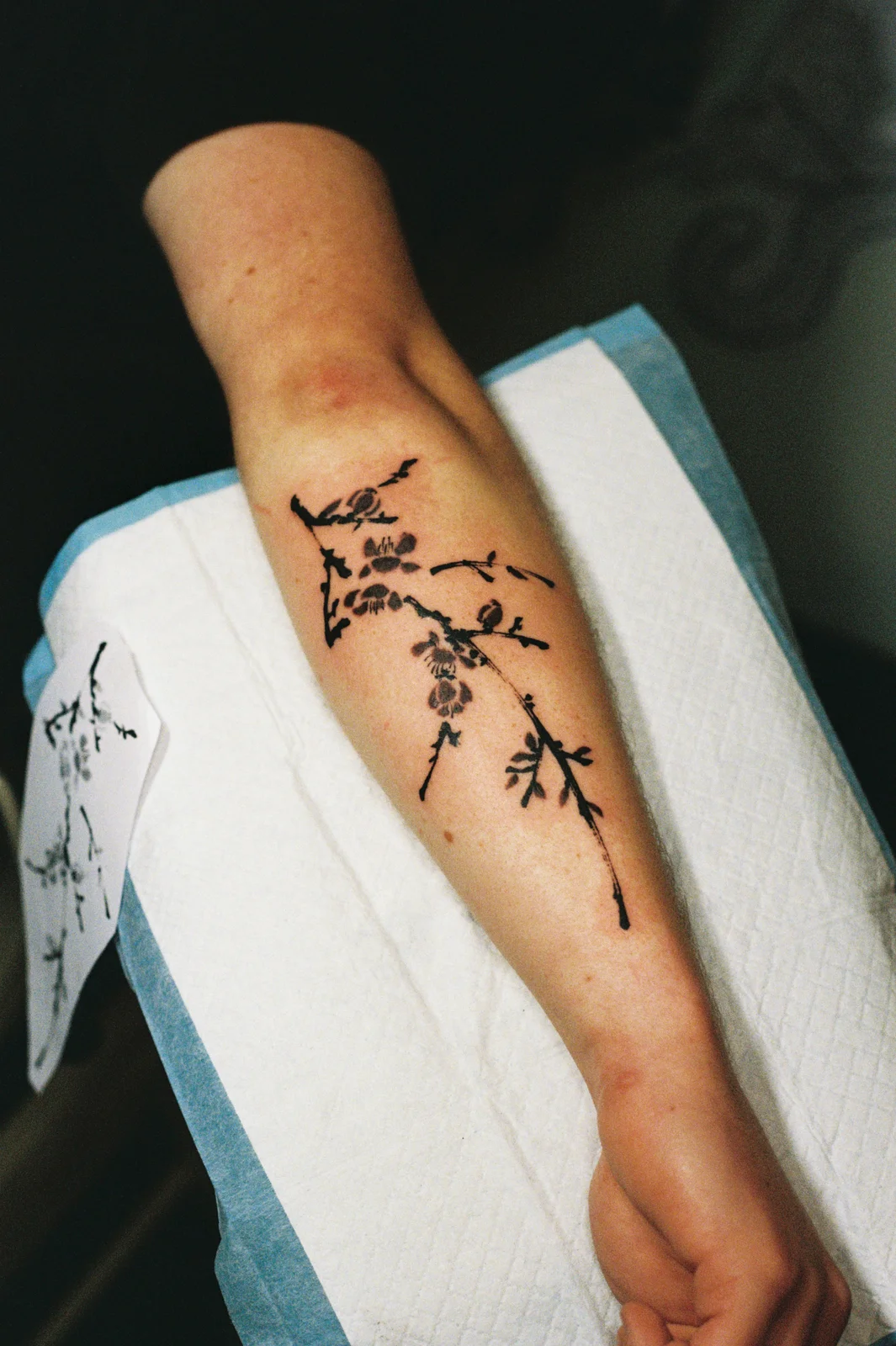 Plum blossom — forearm — Seongjin Kim, 2026