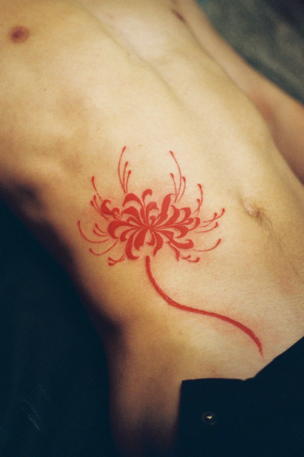 Spider lily — Seongjin Kim, 2025