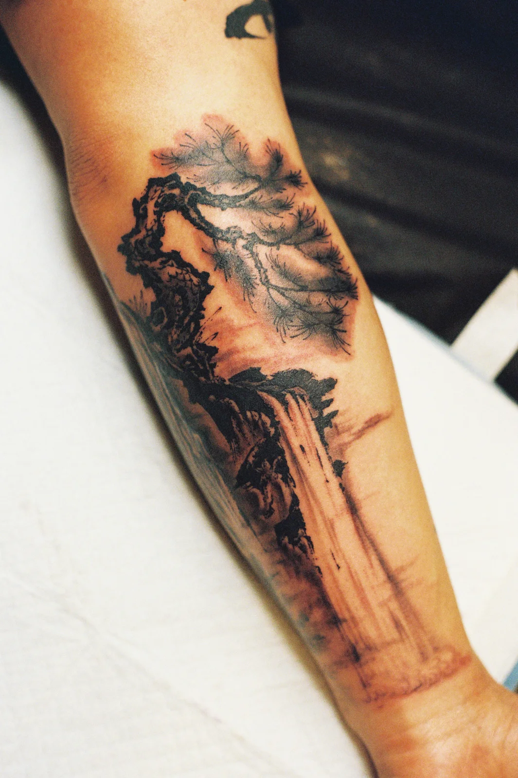 Landscape — forearm — 2026, Image 7