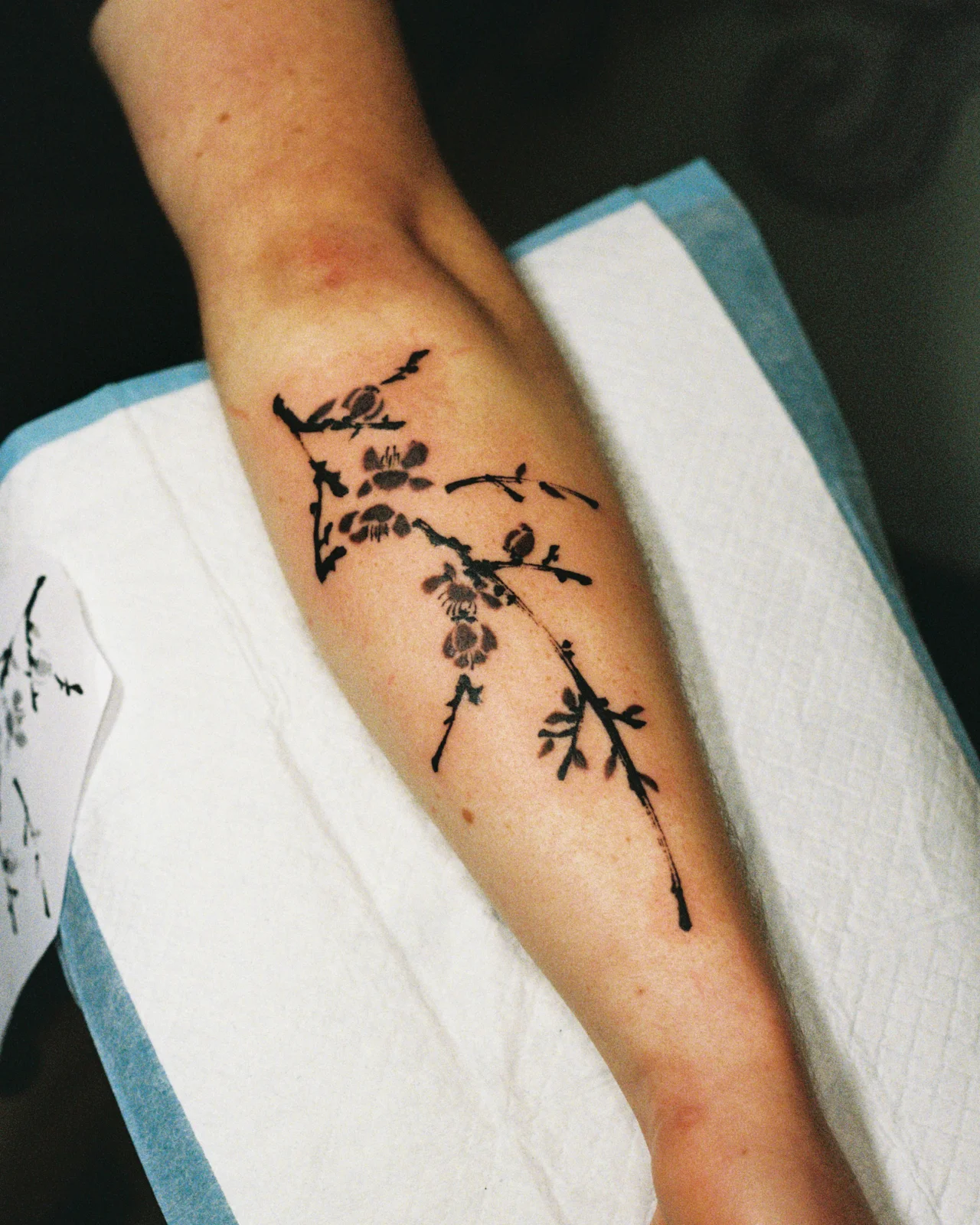 Plum blossom — forearm — 2026, Image 2