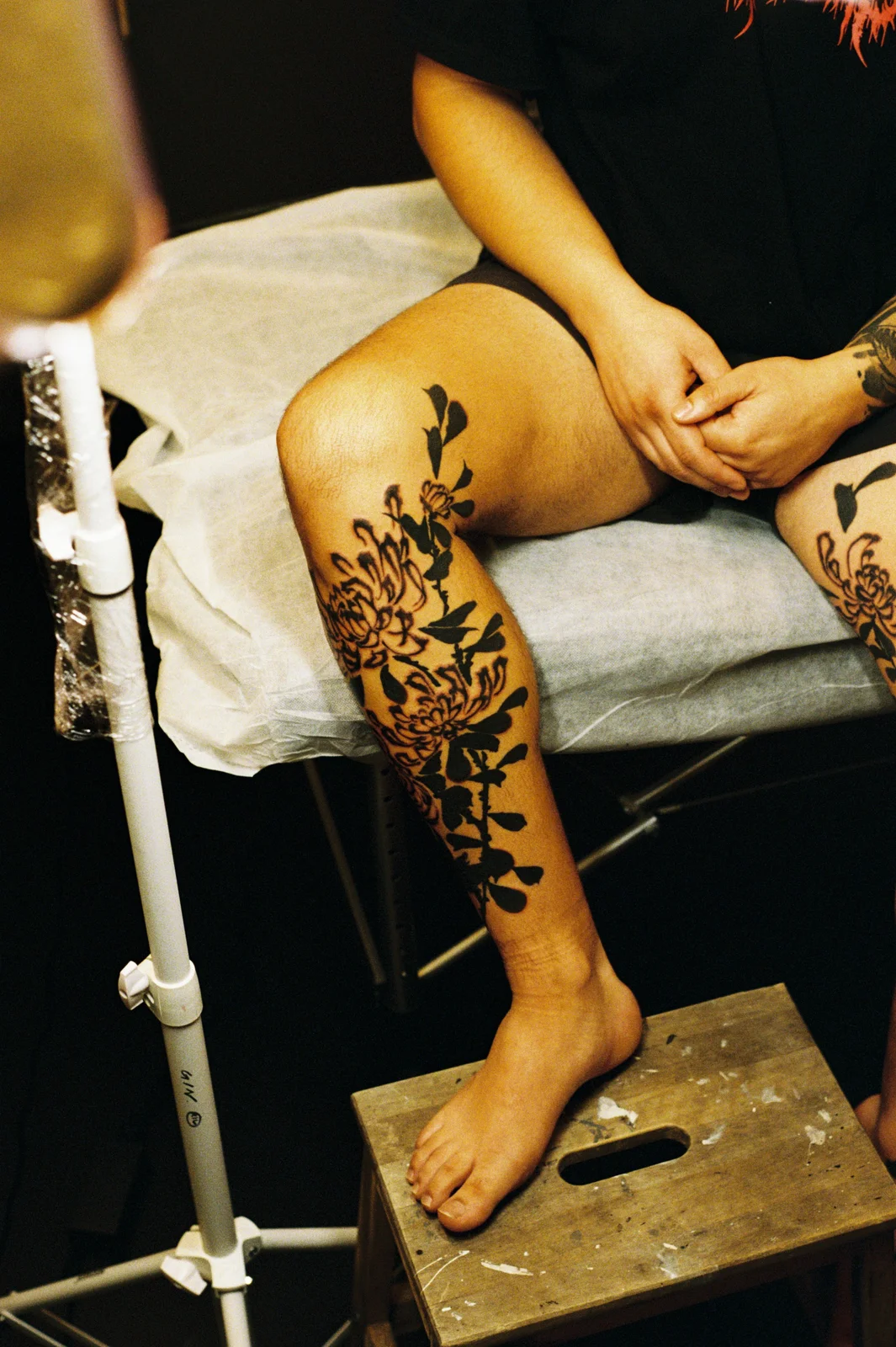 Chrysanthemum — leg — 2025, Image 28