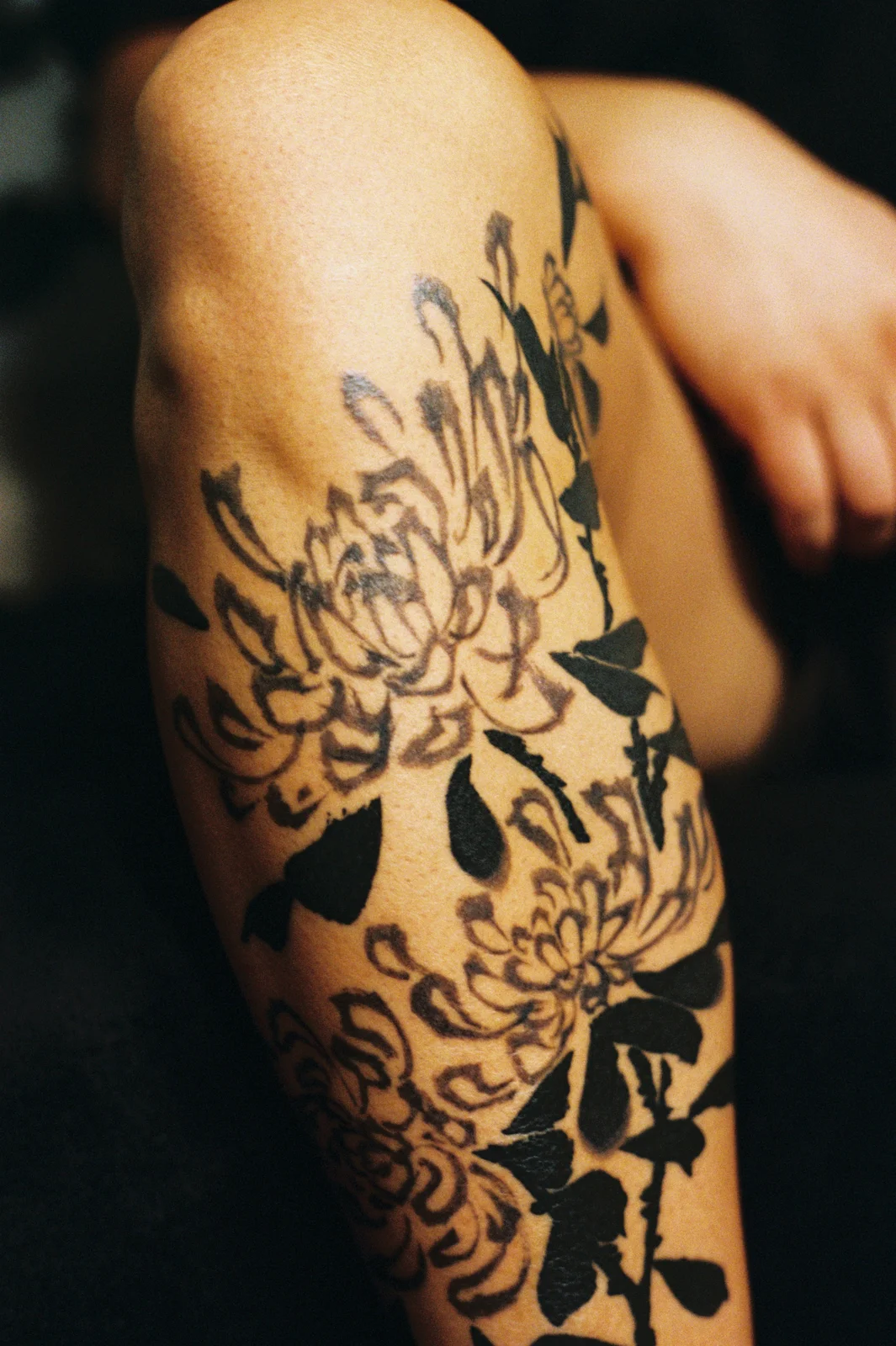 Chrysanthemum — leg — 2025, Image 64