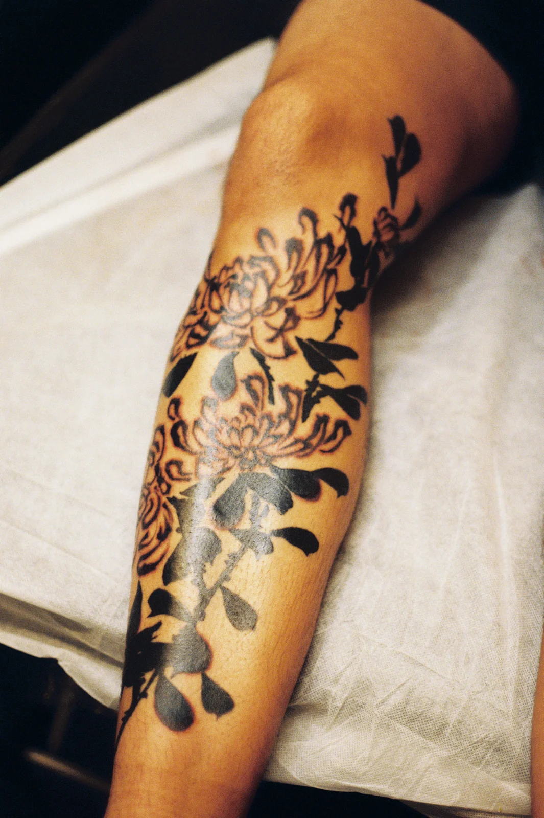 Chrysanthemum — leg — 2025, Image 75