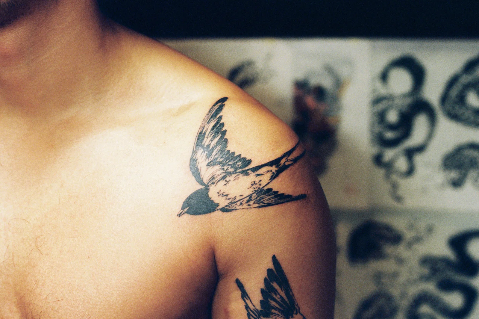 Swallow — Seongjin Kim, 2026