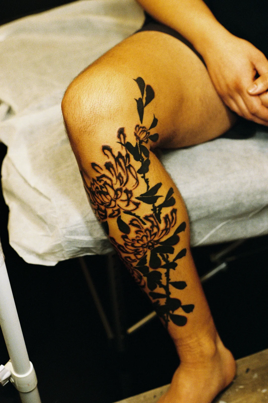 Chrysanthemum — leg — 2025, Image 32