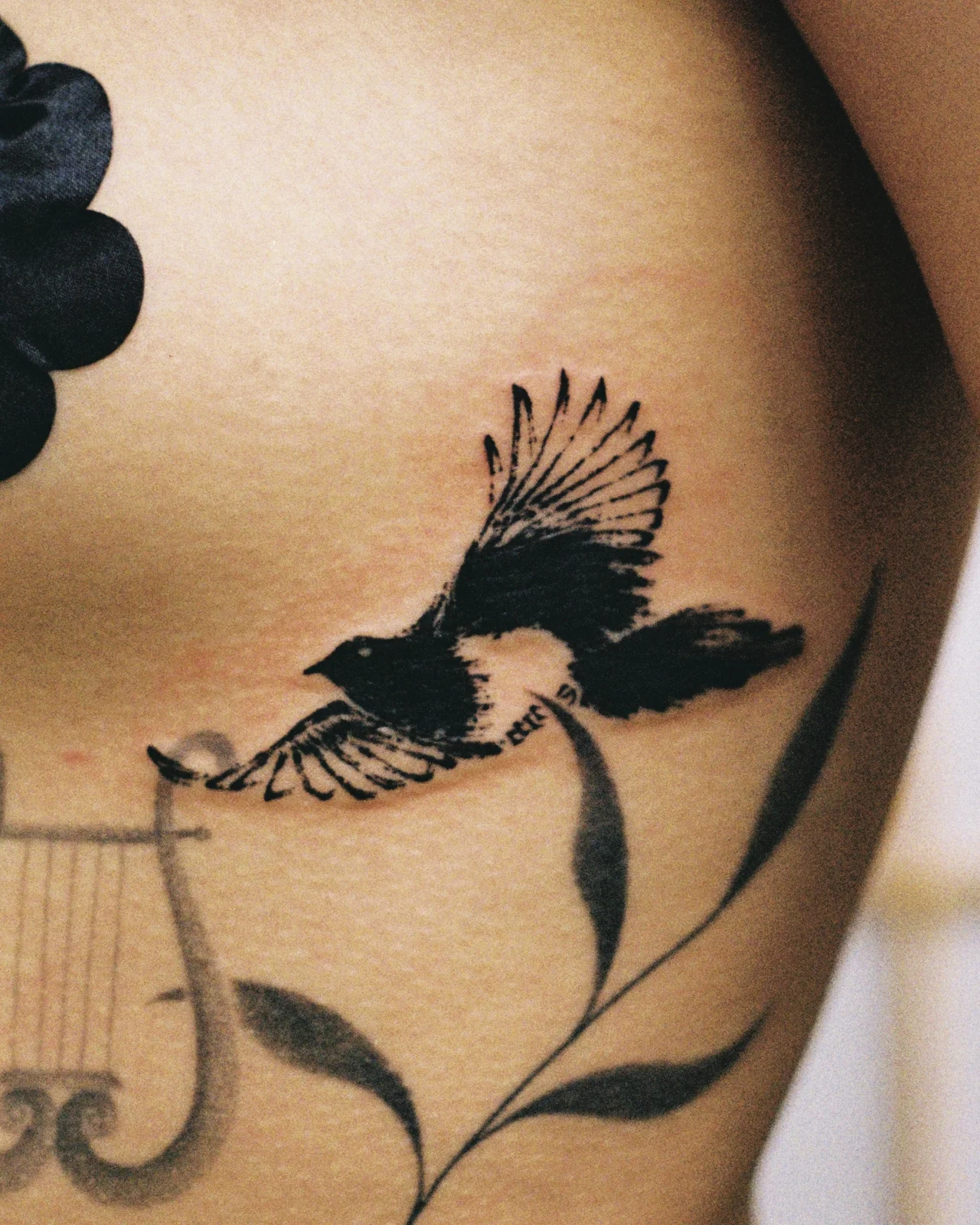 Magpie — Seongjin Kim, 2025