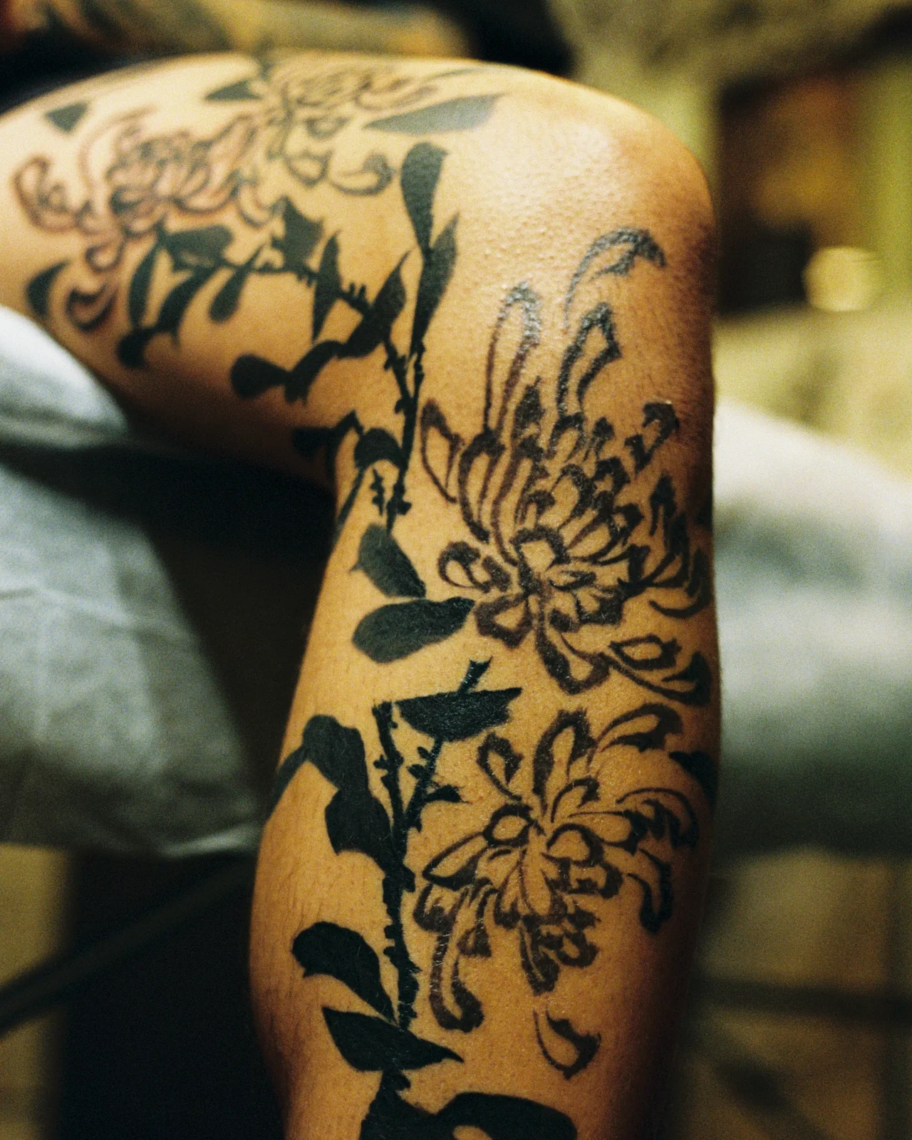 Chrysanthemum — leg — 2025, Image 49