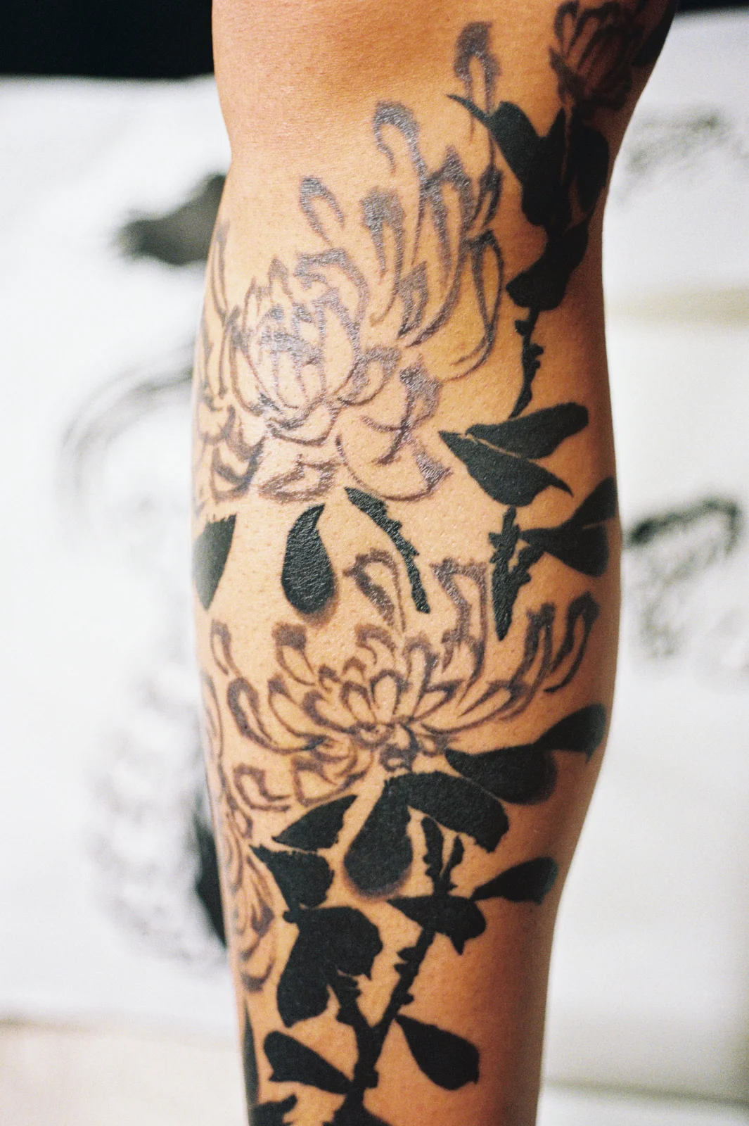 Chrysanthemum — leg — 2025, Image 4