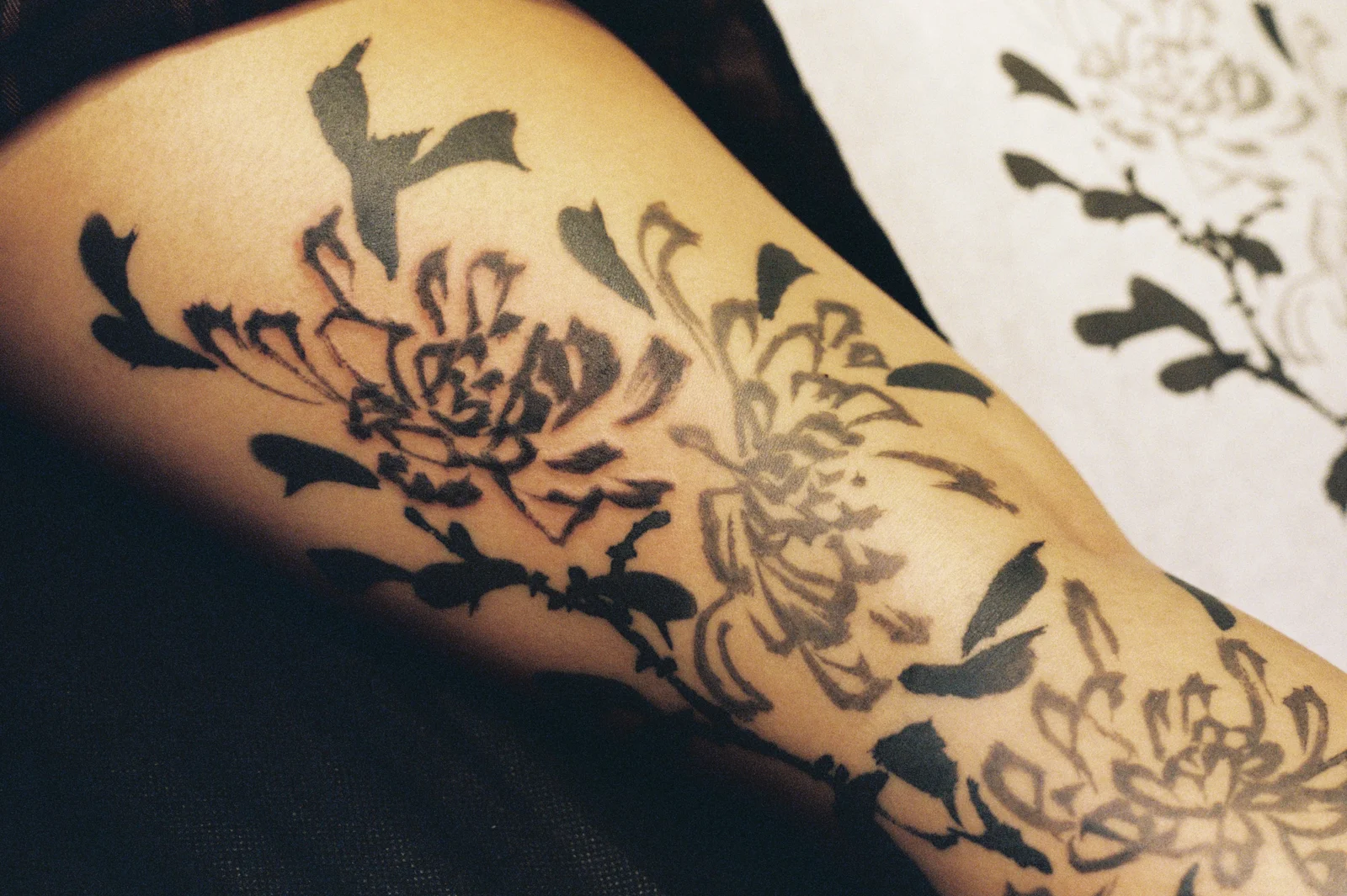 Chrysanthemum — leg — 2025, Image 12