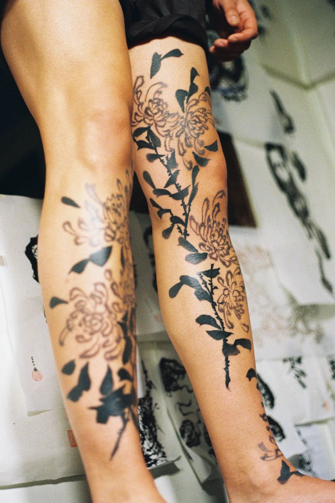 Chrysanthemum — leg — 2025, Image 27