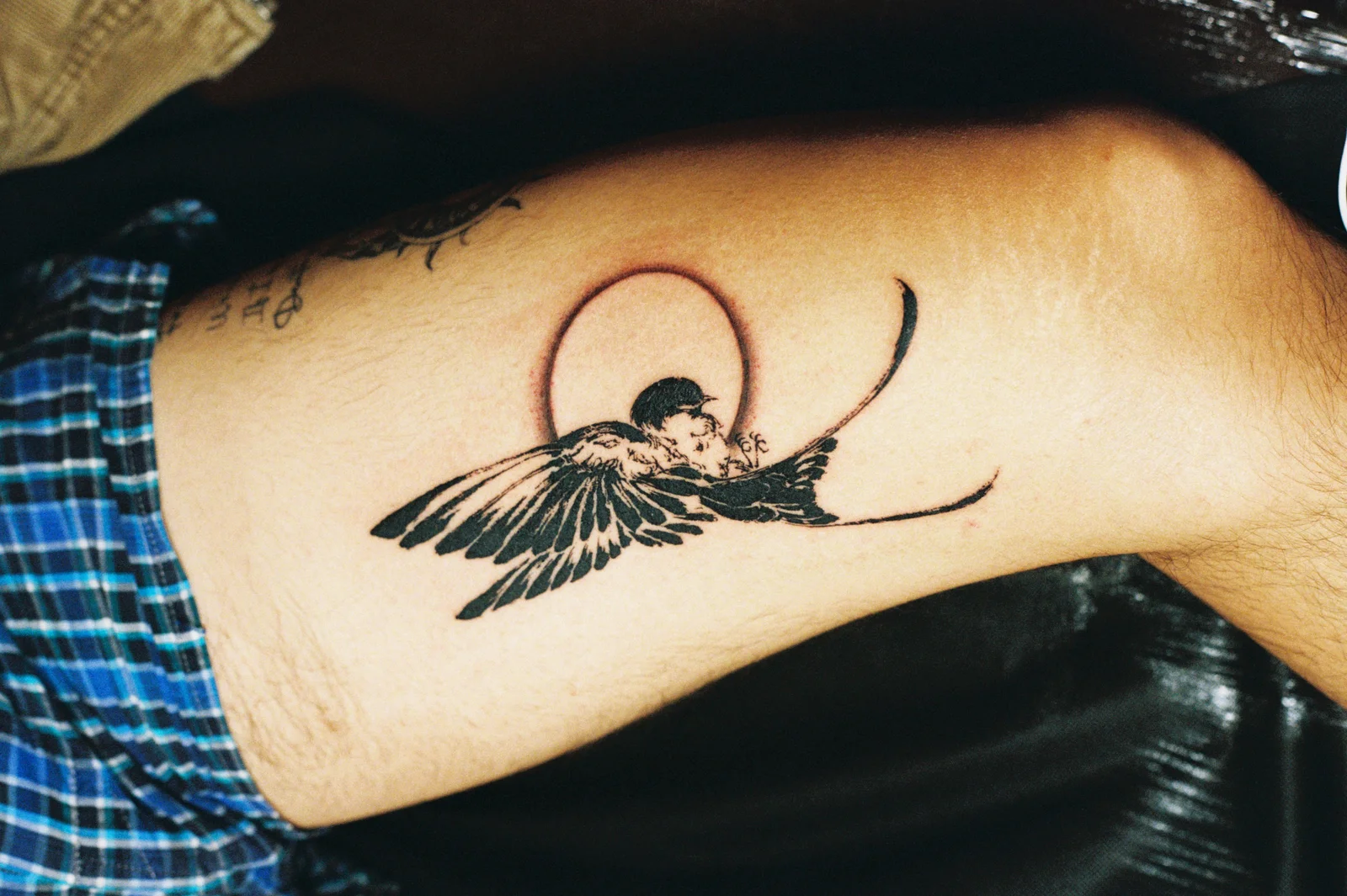 Swallow & halo — Seongjin Kim, 2026