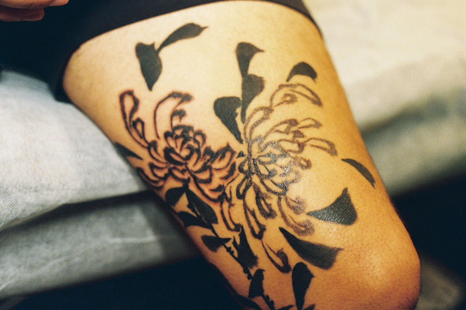 Chrysanthemum — leg — 2025, Image 6