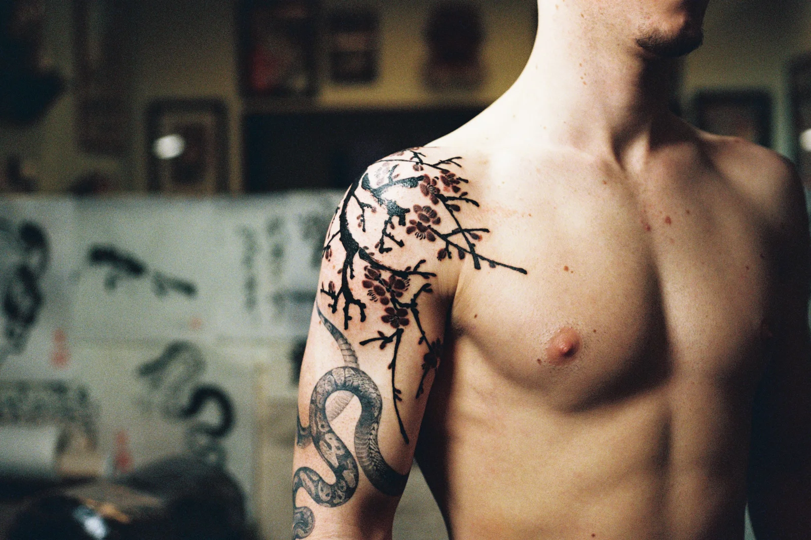 Plum blossom — shoulder — 2026, Image 2