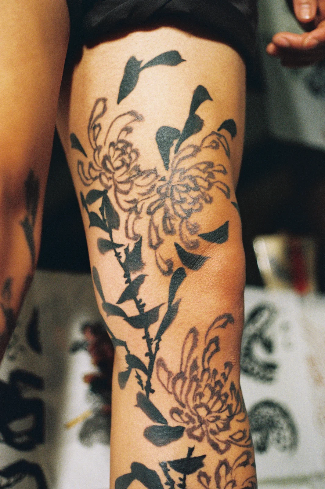 Chrysanthemum — leg — 2025, Image 31