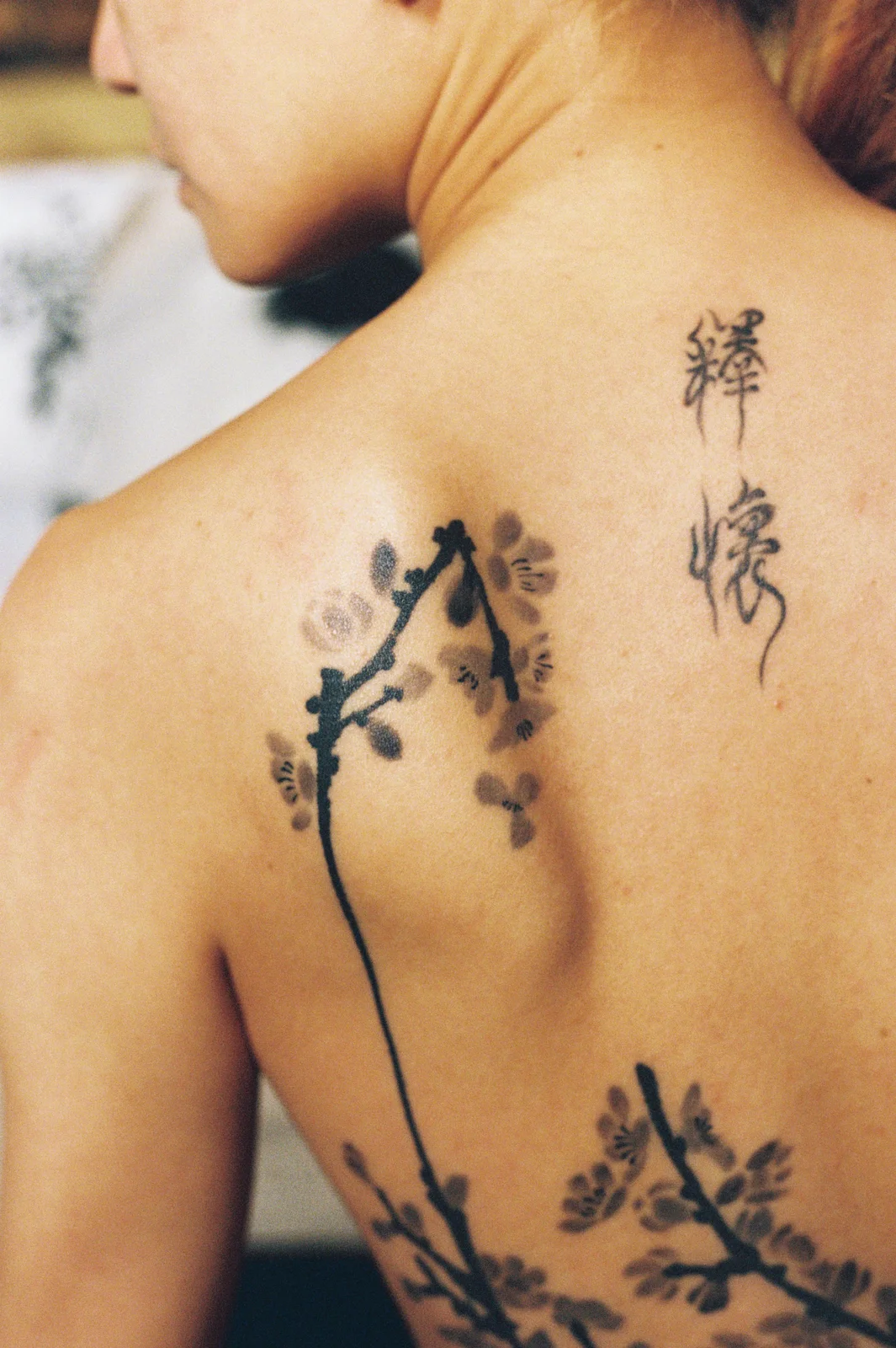 Plum blossom — back — Seongjin Kim, 2025
