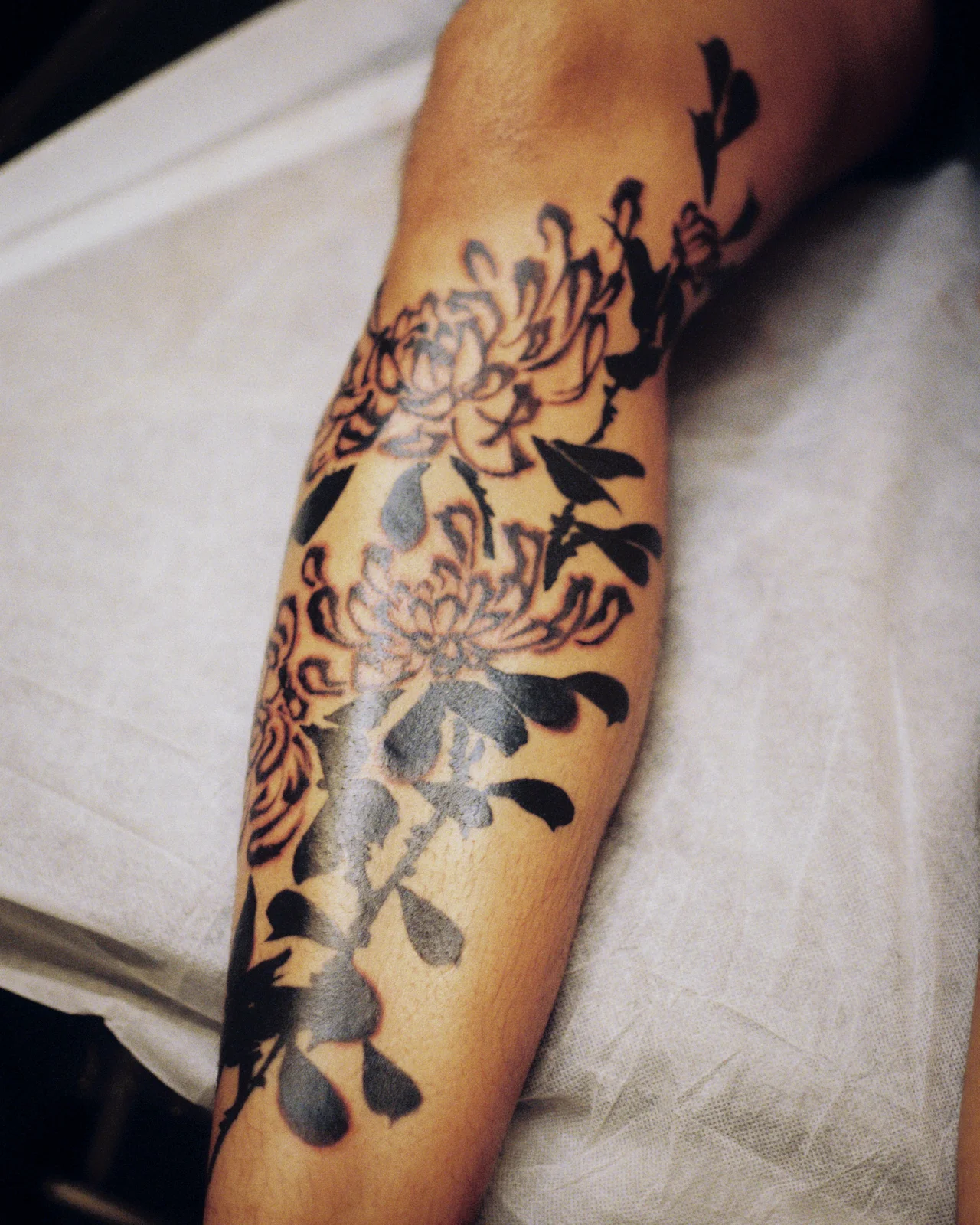 Chrysanthemum — leg — 2025, Image 73