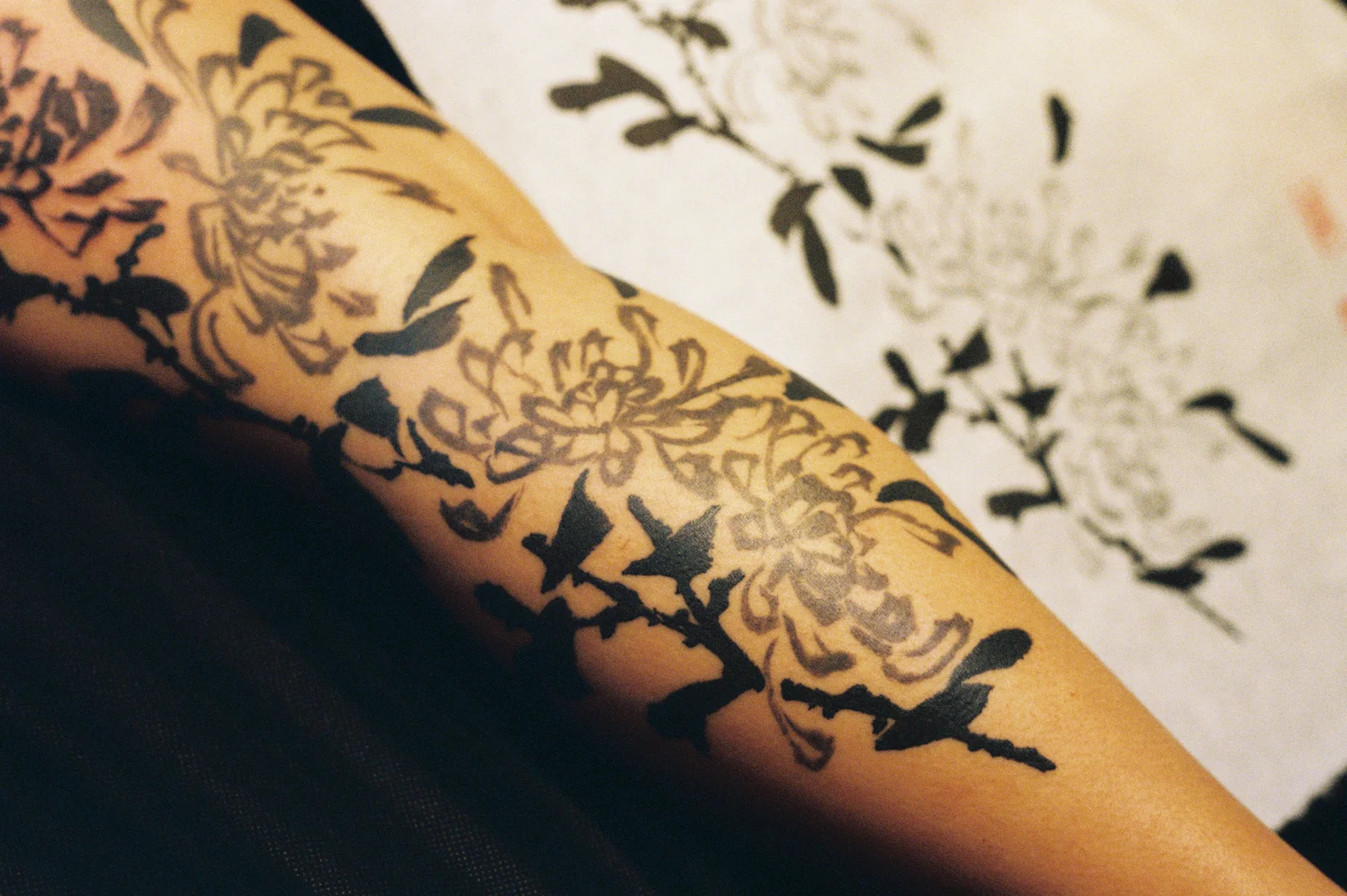 Chrysanthemum — leg 2 — 2025, Image 5