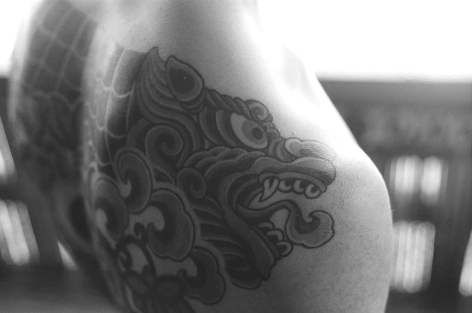 태극 등 — 2024, 写真 8