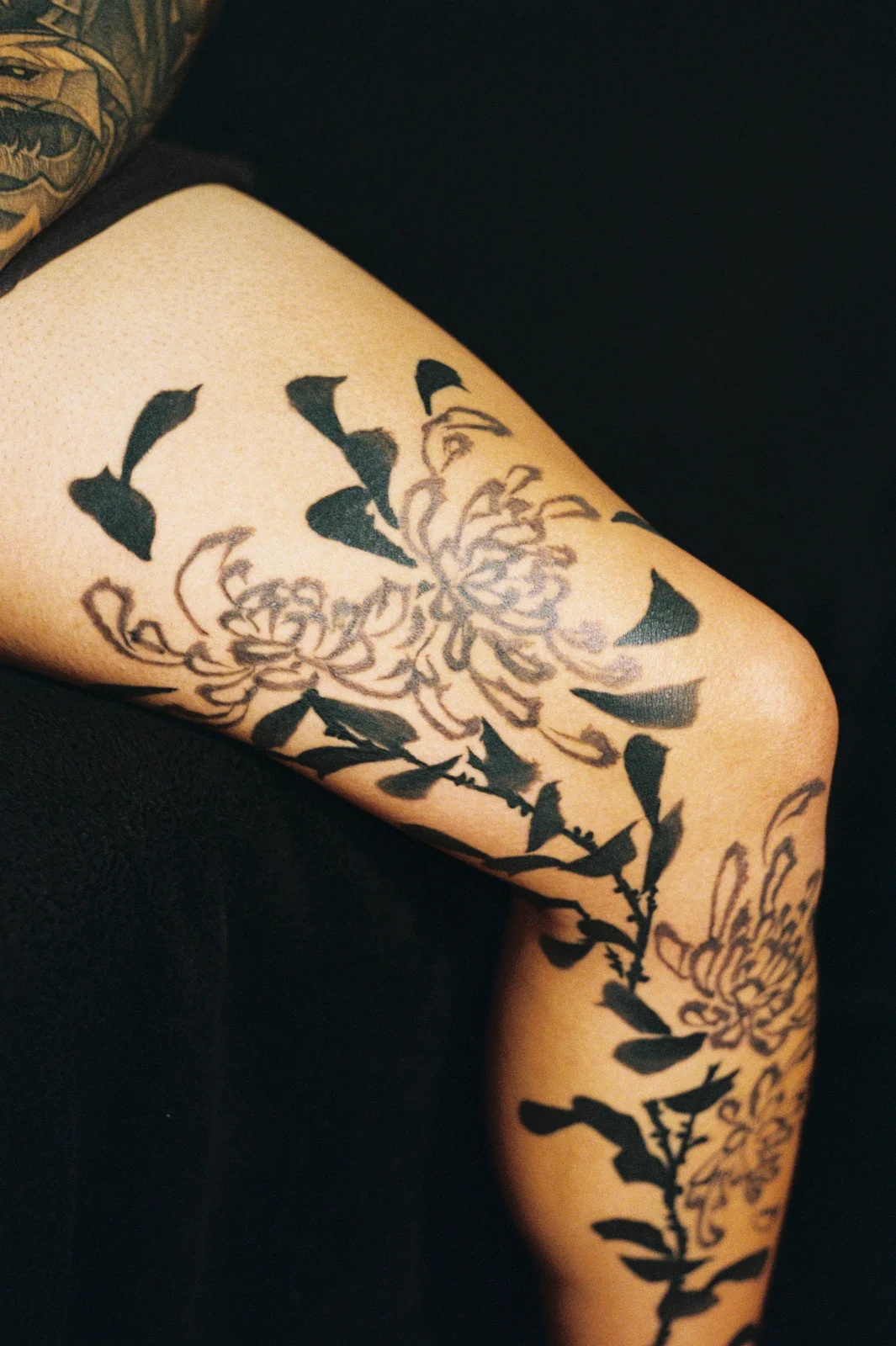 Chrysanthemum — leg — 2025, Image 56