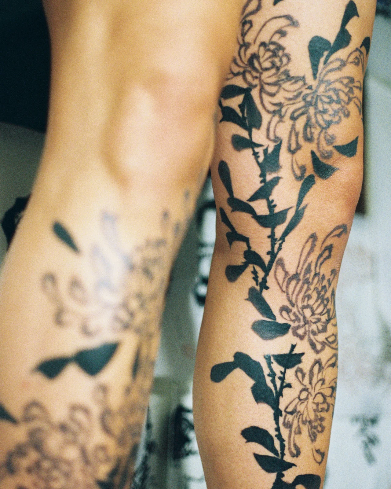 Chrysanthemum — leg — 2025, Image 34