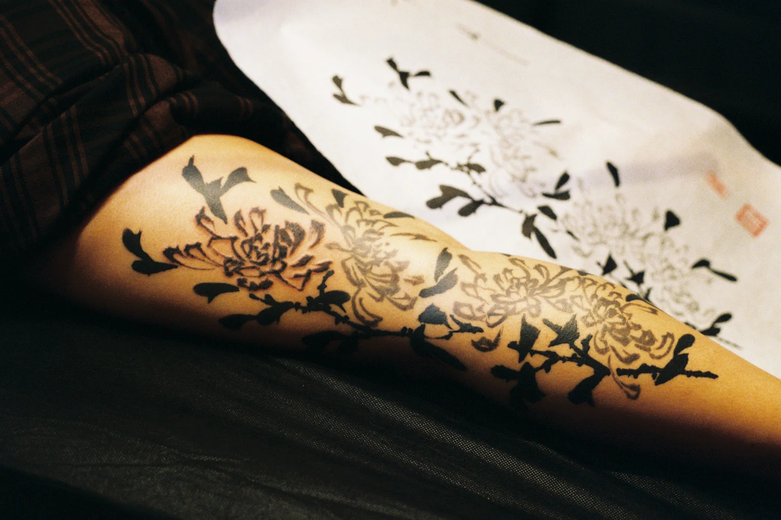 Chrysanthemum — leg 2 — Seongjin Kim, 2025