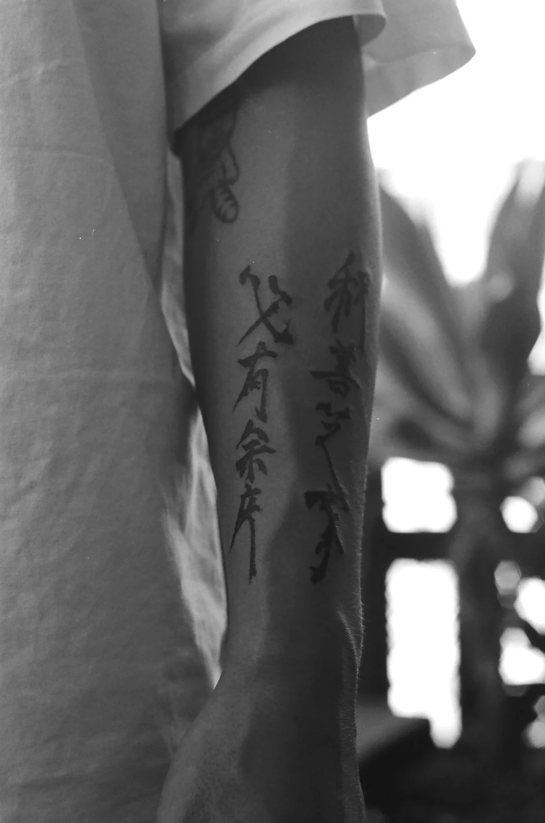 Forearm 2 — Seongjin Kim, 2024