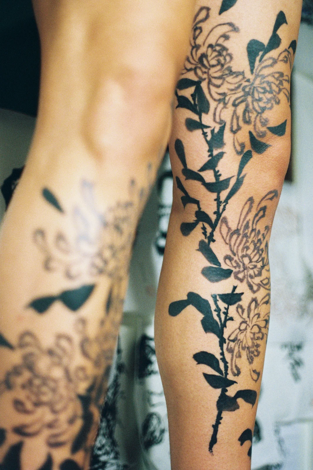 Chrysanthemum — leg — 2025, Image 36