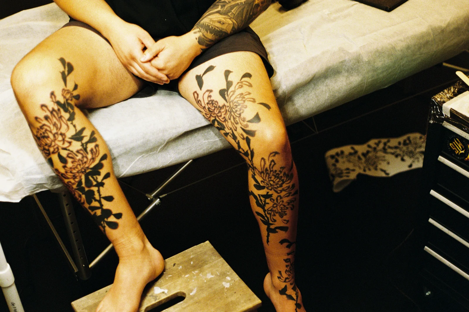 Chrysanthemum — leg — 2025, Image 26
