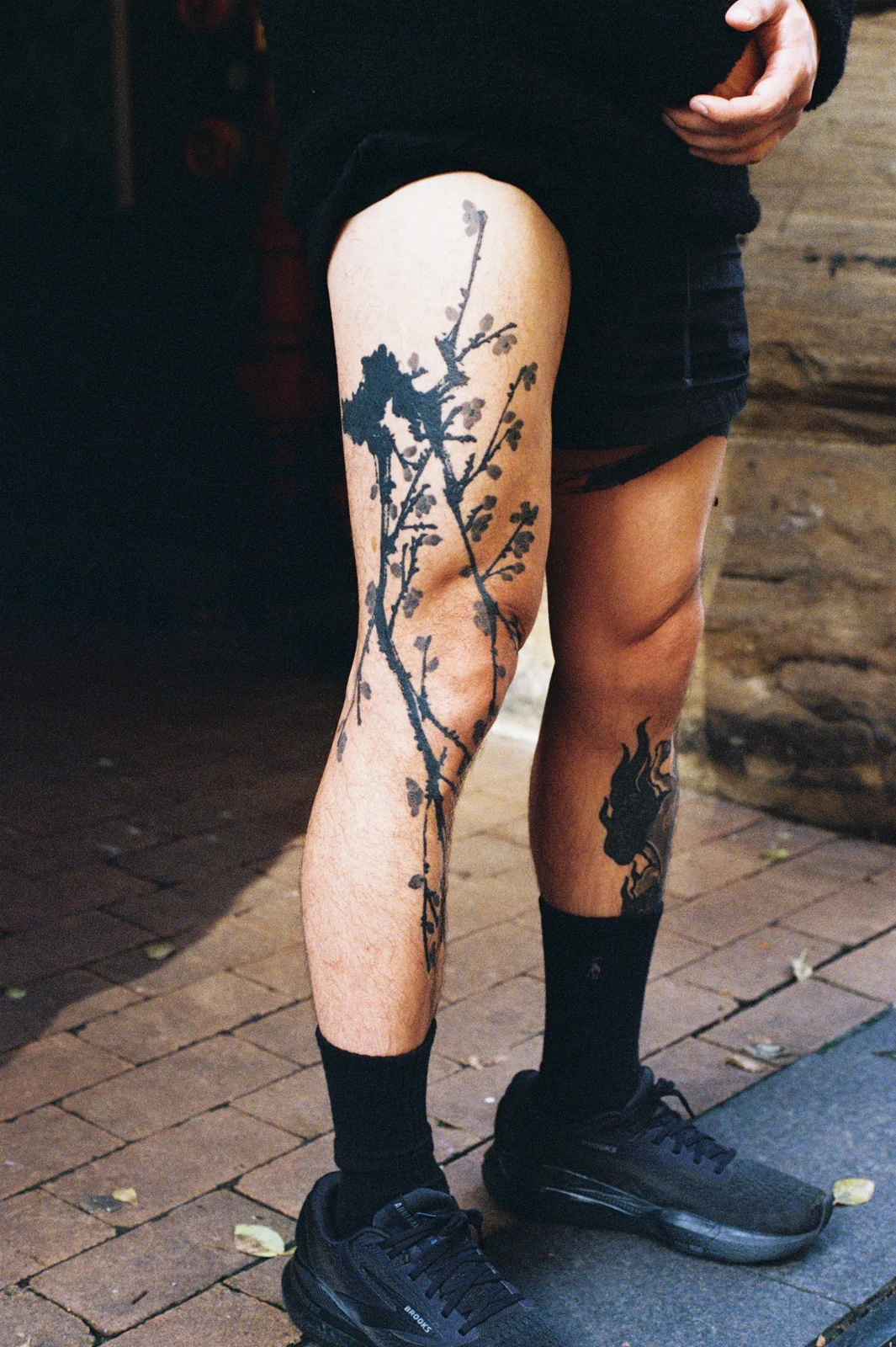 Plum blossom — leg — Seongjin Kim, 2024