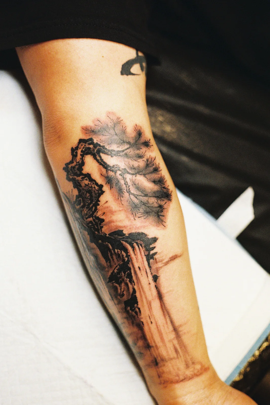 Landscape — forearm — 2026, Image 8