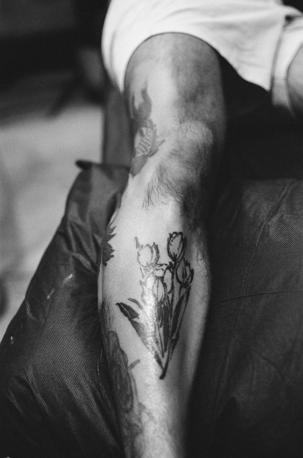 Tulip — forearm — 2025, Image 5