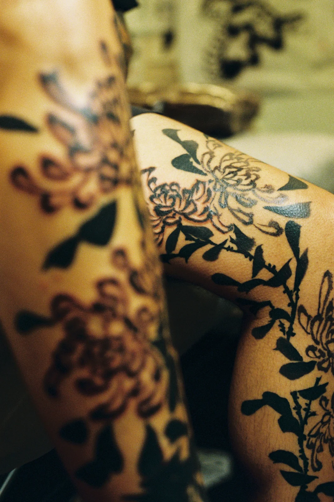Chrysanthemum — leg — 2025, Image 45