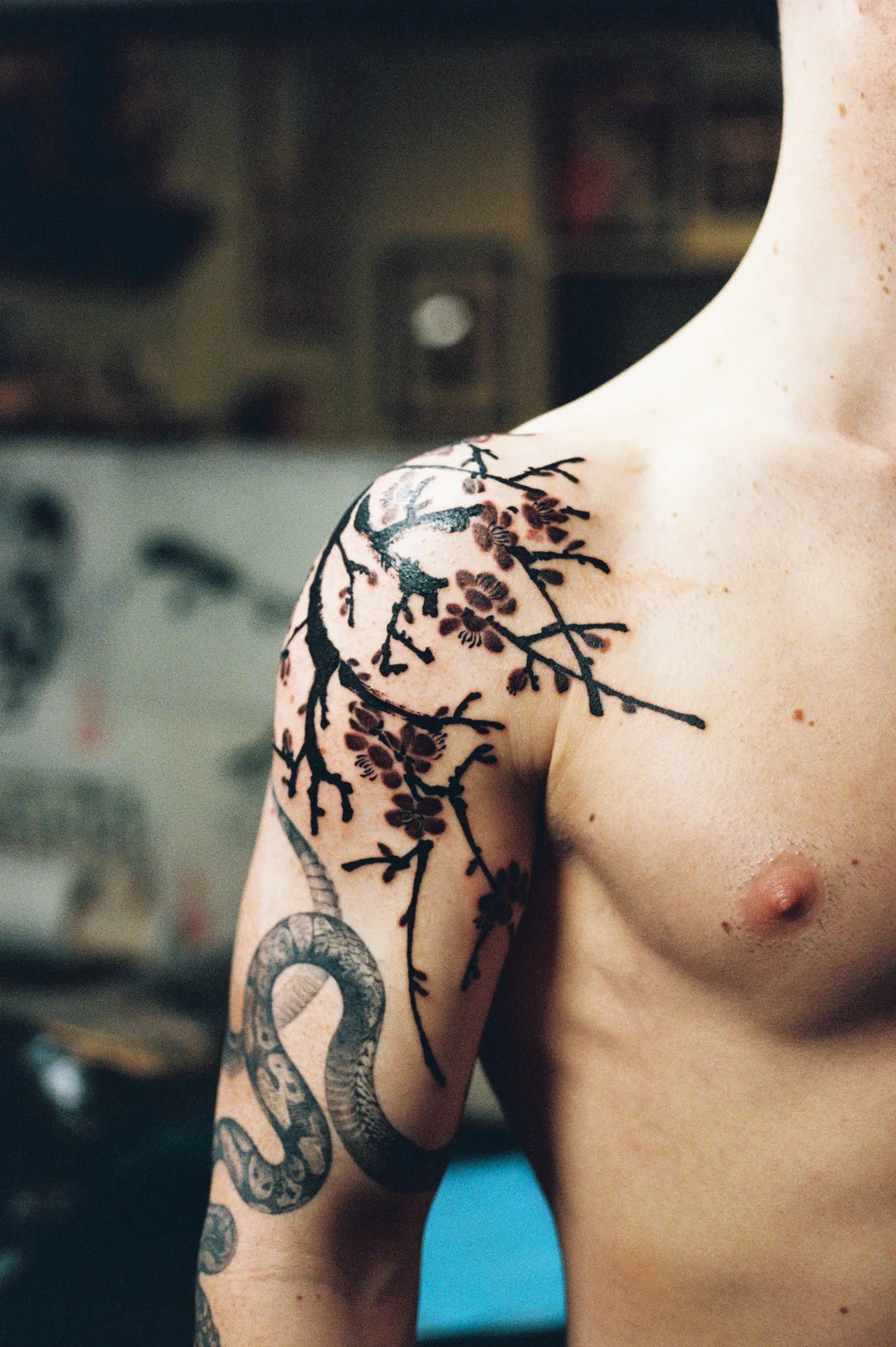 Plum blossom — shoulder — Seongjin Kim, 2026