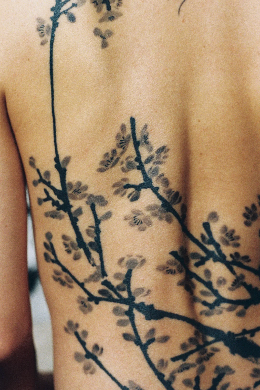 매화 등 — 2025, 图片 25