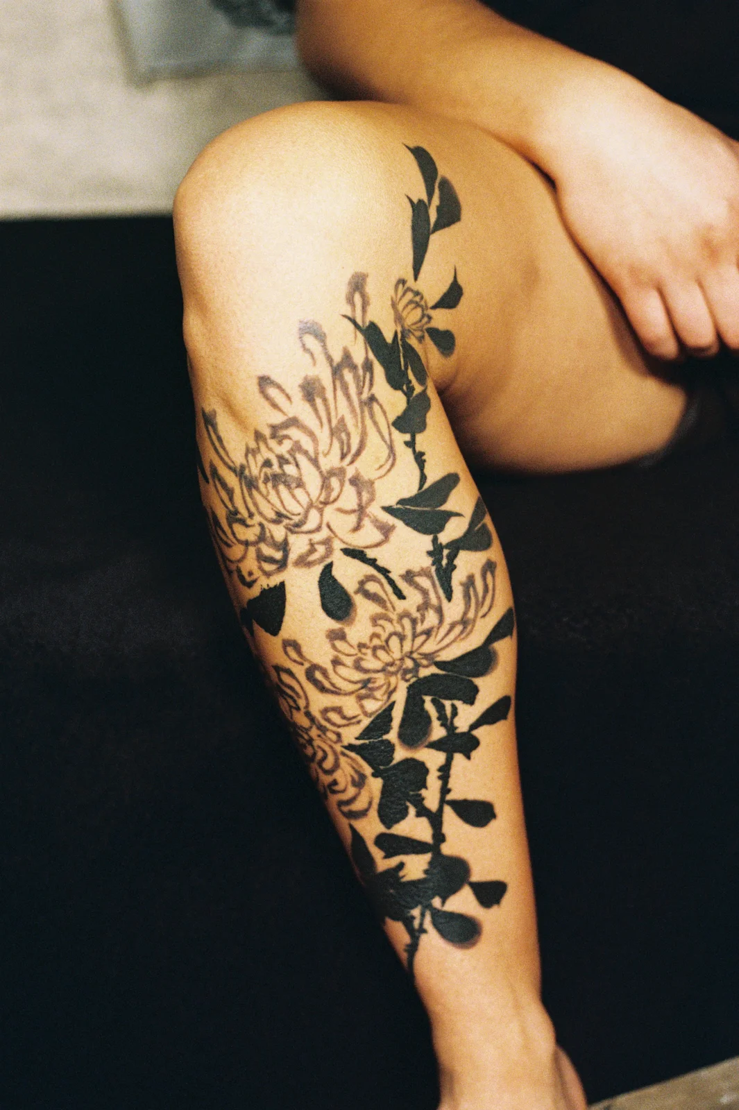 Chrysanthemum — leg — 2025, Image 58