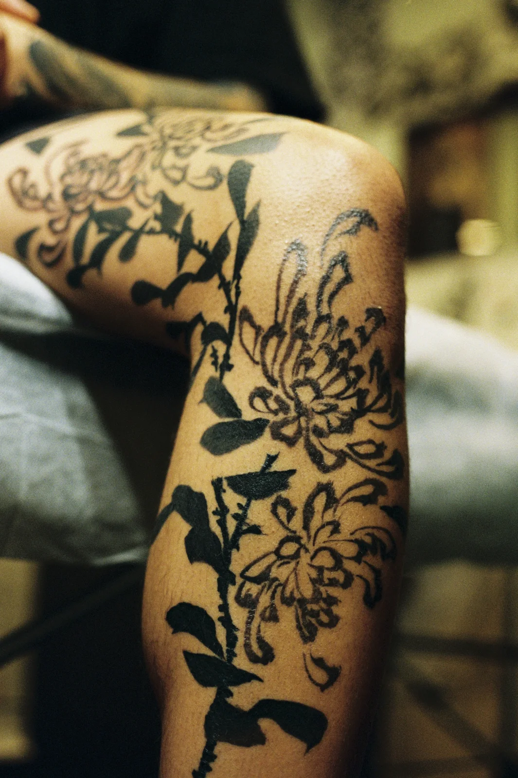 Chrysanthemum — leg — 2025, Image 48
